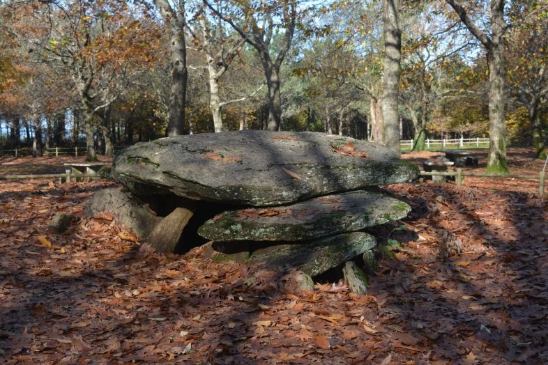 Dolmen de Chan de Arquiña